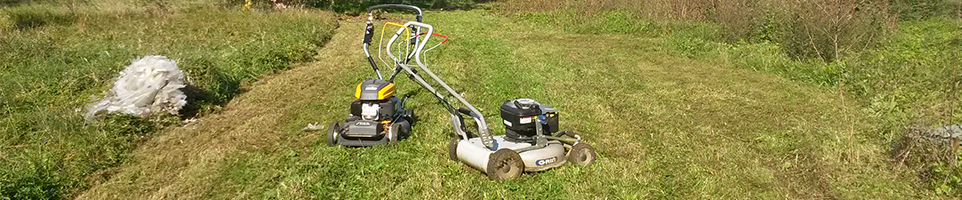 Manutenzione giardini Padova