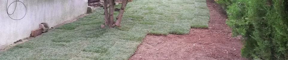 Creazione giardino Padova