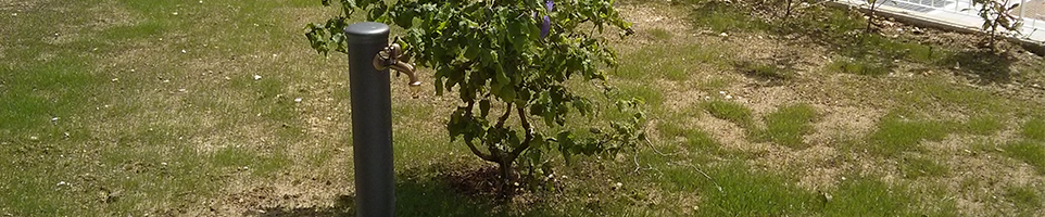 Trattamenti fitosanitari piante giardino Padova